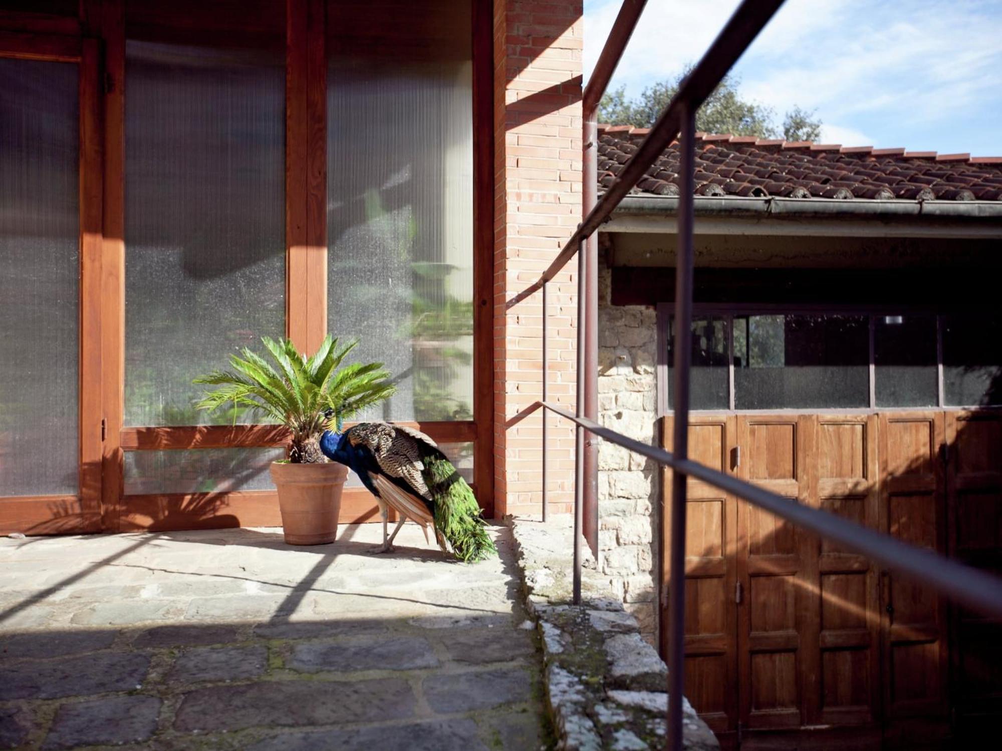 Pleasant Apartment With Swimming Pool Garden Bbq Parking Lucolena in Chianti Eksteriør billede